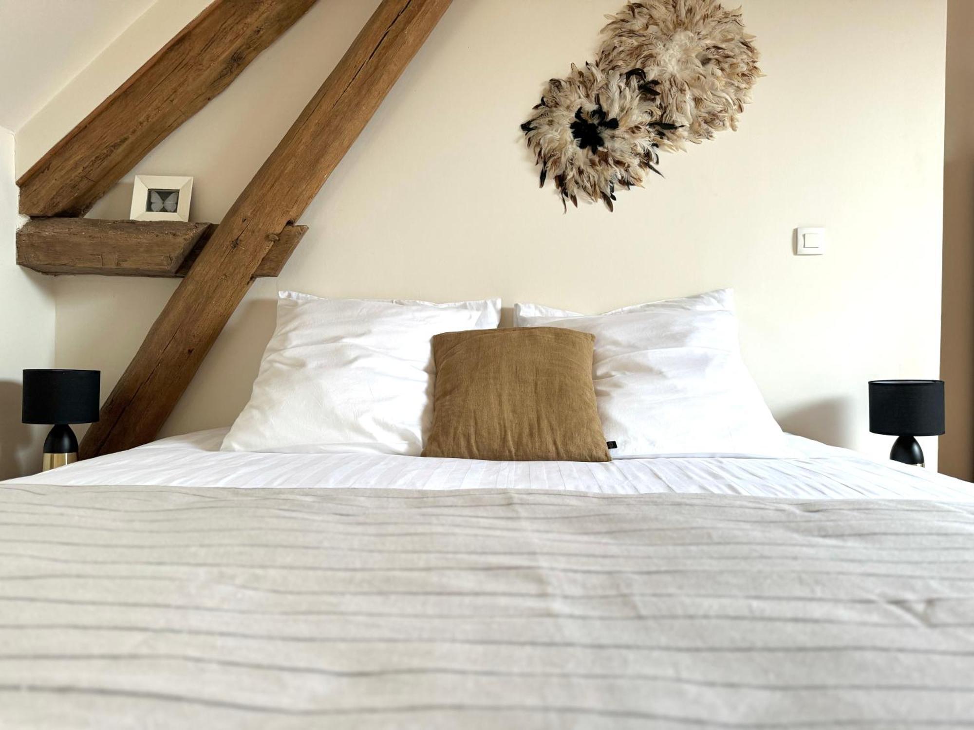 Bed and Breakfast Le Moulin D Olivet à Orbigny Extérieur photo