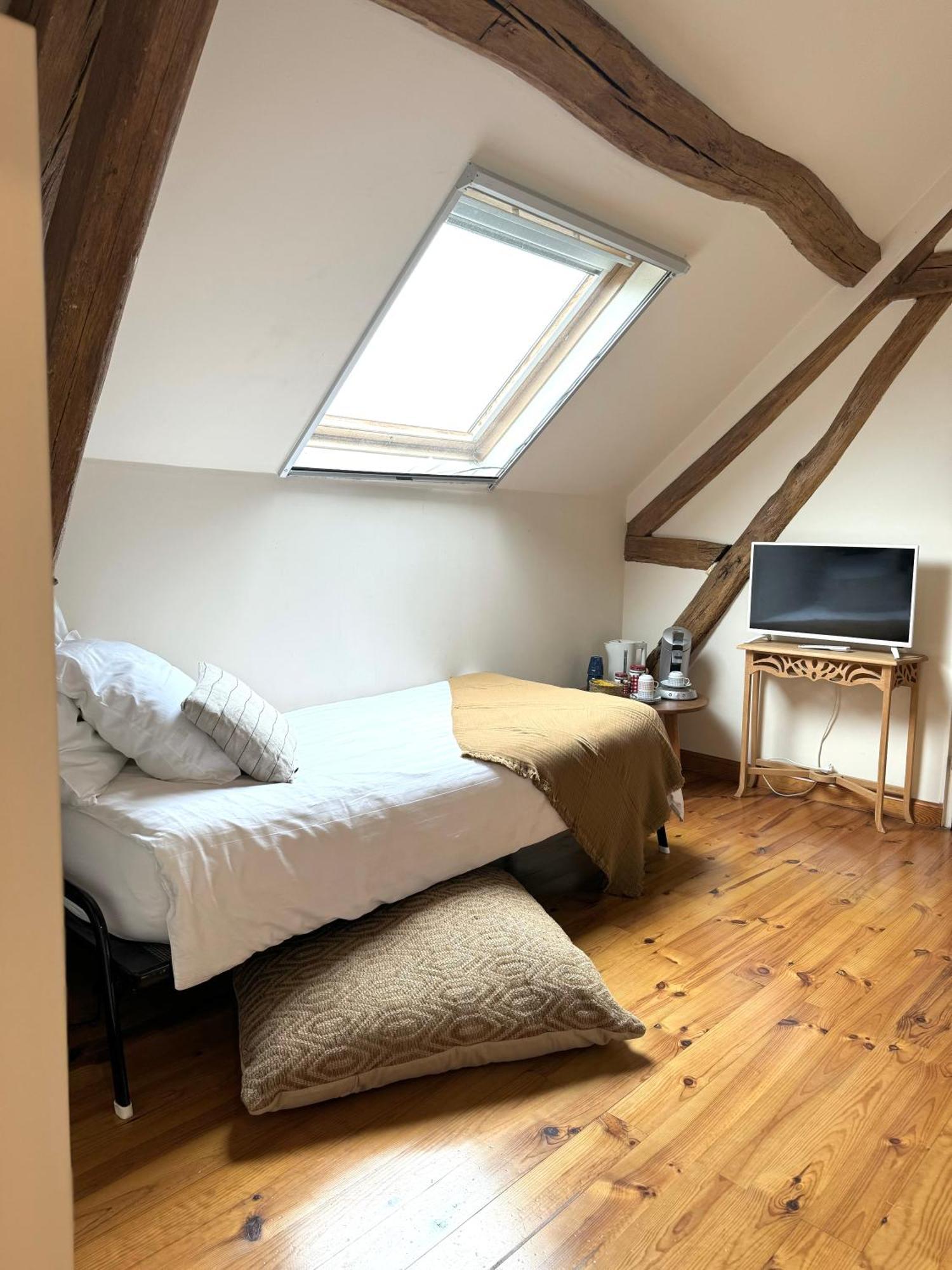 Bed and Breakfast Le Moulin D Olivet à Orbigny Extérieur photo
