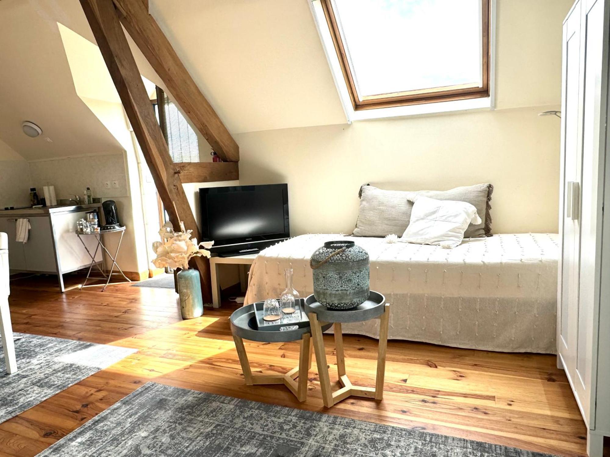 Bed and Breakfast Le Moulin D Olivet à Orbigny Extérieur photo
