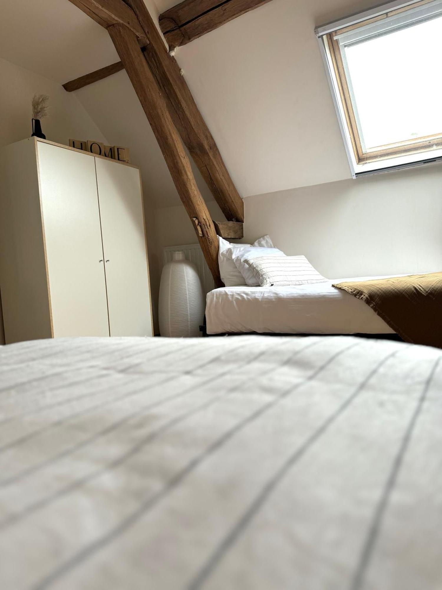 Bed and Breakfast Le Moulin D Olivet à Orbigny Extérieur photo