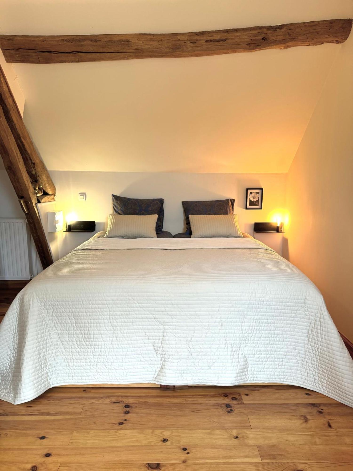 Bed and Breakfast Le Moulin D Olivet à Orbigny Extérieur photo